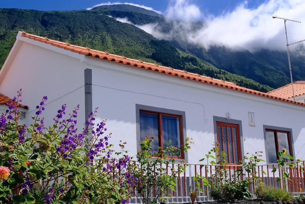 Sunflower Guest House - Madalena - Pico Sao Caetano  Bagian luar foto