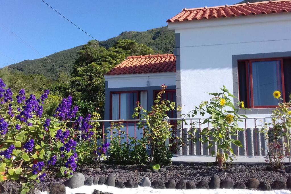 Sunflower Guest House - Madalena - Pico Sao Caetano  Bagian luar foto
