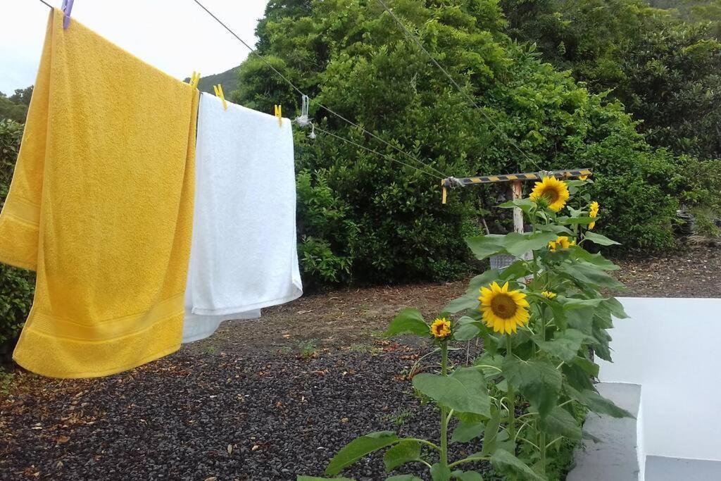 Sunflower Guest House - Madalena - Pico Sao Caetano  Bagian luar foto